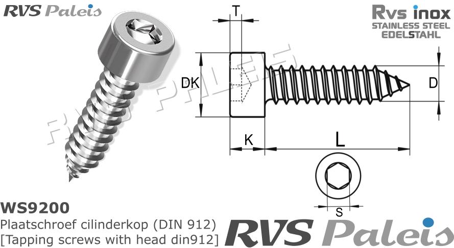 RVS Plaatschroef 