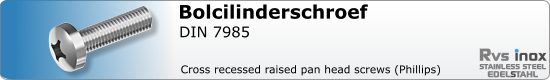 RVS Schroef Kruisgleuf Din 7985