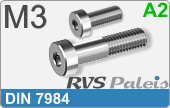 RVS Schroef Binnenzeskant Din 7984 M3
