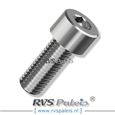 m2x4mm / per stuk - cilinderkopschroef A4