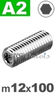 m12x100mm / per stuk - stelschroef (platte punt) A2