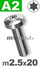 m2,5x20mm / per stuk - bolcilinder schroef TX A2