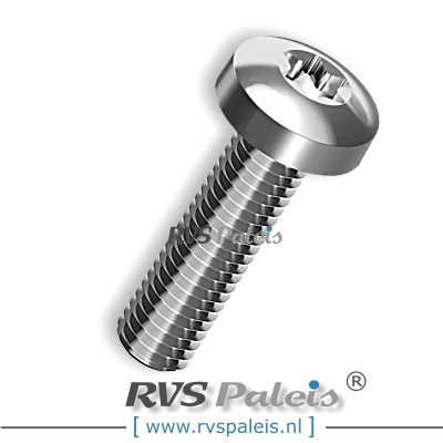 m2x4mm / verp. 100 st. - bolcilinder schroef TX A2